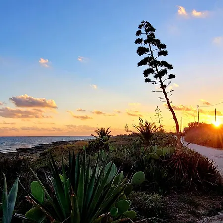 Kleines Ruhiges Ferienhaus Direkt Am Meer Ferienhaus *